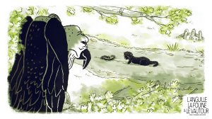 L'anguille, la fouine et le vautour - Image 01