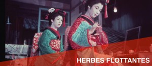 Bandeau Herbes flottantes